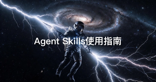 Agent Skills 使用指南